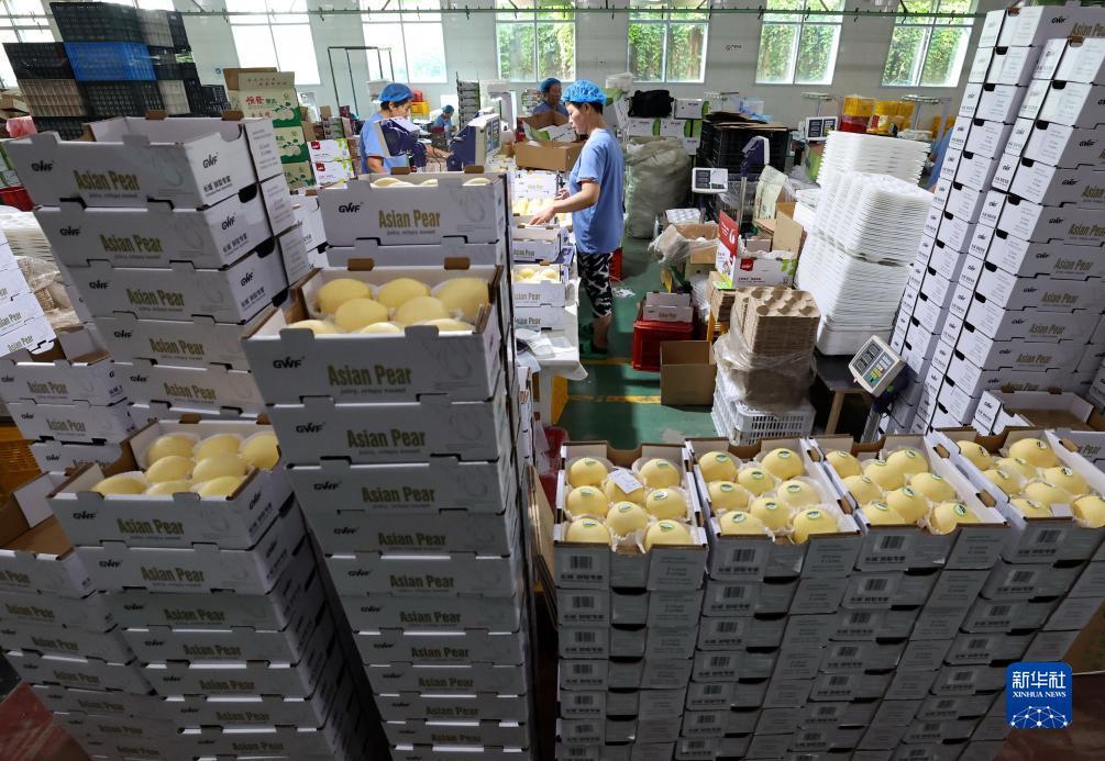 悠游娱乐游戏平台